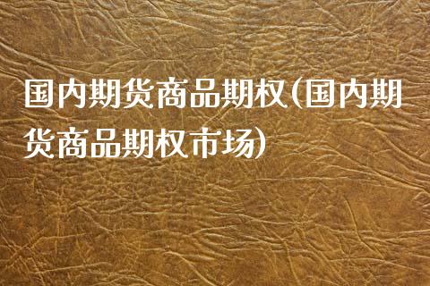 国内期货商品期权(国内期货商品期权市场)_https://www.zztgc.com_黄金期货_第1张