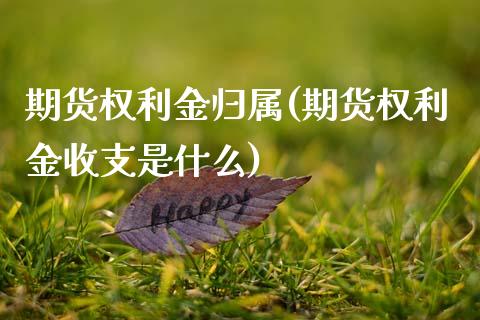 期货权利金归属(期货权利金收支是什么)_https://www.zztgc.com_黄金期货_第1张