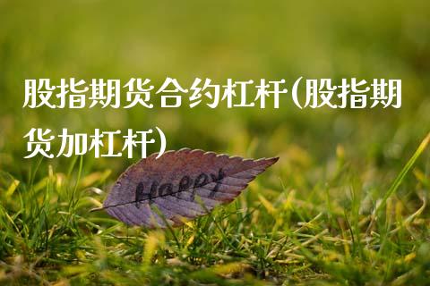 股指期货合约杠杆(股指期货加杠杆)_https://www.zztgc.com_黄金期货_第1张