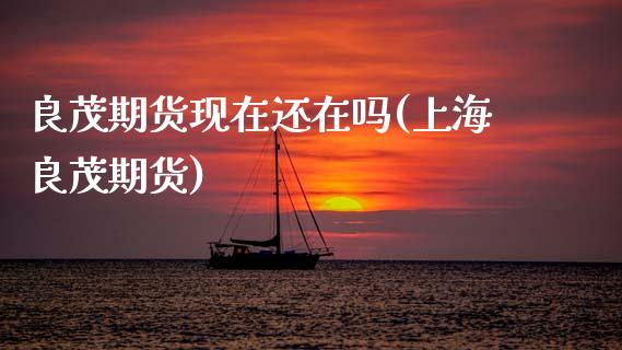 良茂期货现在还在吗(上海良茂期货)_https://www.zztgc.com_黄金期货_第1张