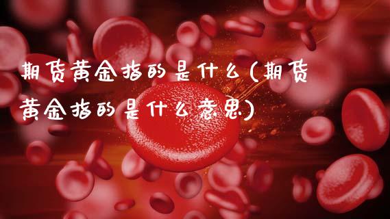 期货黄金指的是什么(期货黄金指的是什么意思)_https://www.zztgc.com_黄金期货_第1张