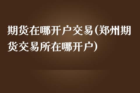 期货在哪开户交易(郑州期货交易所在哪开户)_https://www.zztgc.com_原油期货_第1张