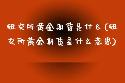 纽交所黄金期货是什么(纽交所黄金期货是什么意思)_https://www.zztgc.com_黄金期货_第1张
