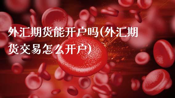 外汇期货能开户吗(外汇期货交易怎么开户)_https://www.zztgc.com_黄金期货_第1张