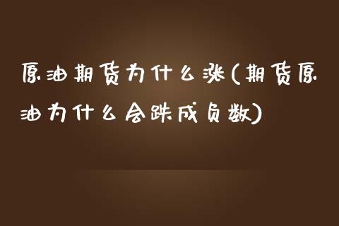 原油期货为什么涨(期货原油为什么会跌成负数)_https://www.zztgc.com_黄金期货_第1张