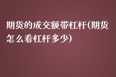 期货的成交额带杠杆(期货怎么看杠杆多少)_https://www.zztgc.com_期货行情_第1张
