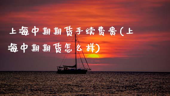 上海中期期货手续费贵(上海中期期货怎么样)_https://www.zztgc.com_原油期货_第1张