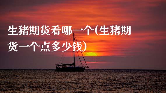 生猪期货看哪一个(生猪期货一个点多少钱)_https://www.zztgc.com_黄金期货_第1张