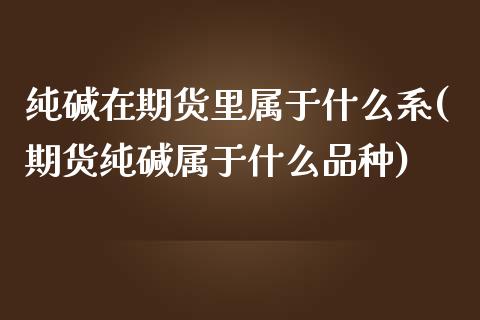 纯碱在期货里属于什么系(期货纯碱属于什么品种)_https://www.zztgc.com_期货行情_第1张