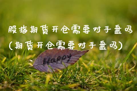股指期货开仓需要对手盘吗(期货开仓需要对手盘吗)_https://www.zztgc.com_期货入门_第1张
