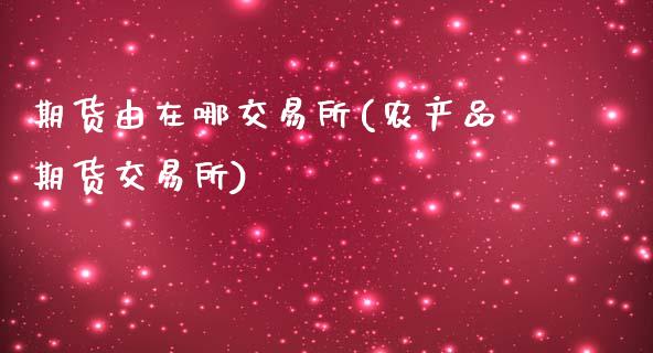 期货由在哪交易所(农产品期货交易所)_https://www.zztgc.com_期货入门_第1张