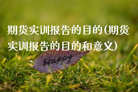 期货实训报告的目的(期货实训报告的目的和意义)_期货行情_第1张_珍投期货网 期货实训报告的目的(期货实训报告的目的和意义)_https://www.zztgc.com_期货行情_第1张
