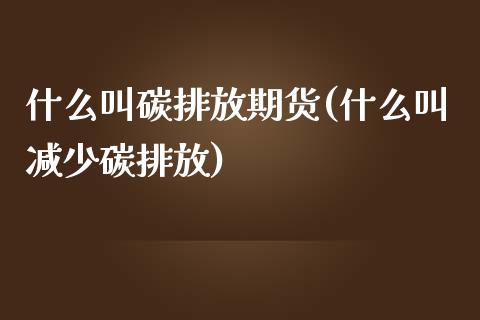 什么叫碳排放期货(什么叫减少碳排放)_https://www.zztgc.com_期货直播_第1张