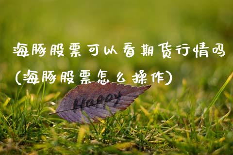 海豚股票可以看期货行情吗(海豚股票怎么操作)_https://www.zztgc.com_期货直播_第1张