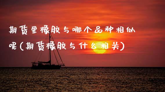 期货里橡胶与哪个品种相似呢(期货橡胶与什么相关)_https://www.zztgc.com_原油期货_第1张