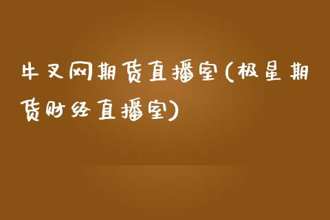牛叉网期货直播室(极星期货财经直播室)_https://www.zztgc.com_期货直播_第1张
