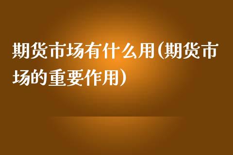 期货市场有什么用(期货市场的重要作用)_https://www.zztgc.com_期货入门_第1张