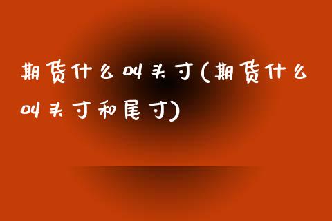 期货什么叫头寸(期货什么叫头寸和尾寸)_https://www.zztgc.com_原油期货_第1张