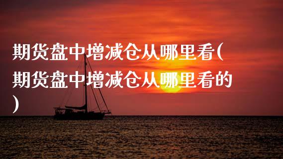 期货盘中增减仓从哪里看(期货盘中增减仓从哪里看的)_https://www.zztgc.com_期货入门_第1张