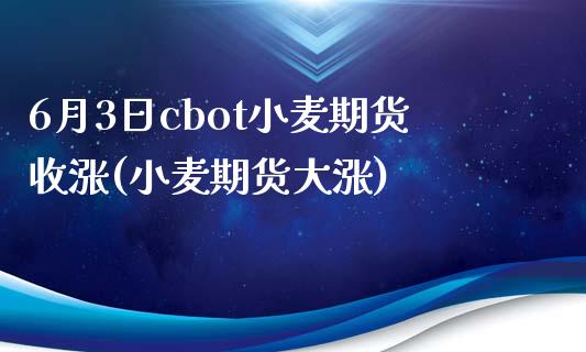 6月3日cbot小麦期货收涨(小麦期货大涨)_https://www.zztgc.com_期货入门_第1张