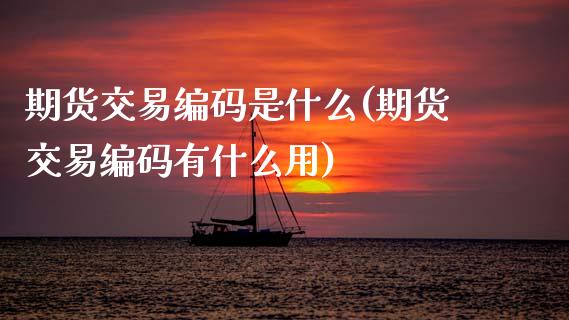 期货交易编码是什么(期货交易编码有什么用)_https://www.zztgc.com_期货直播_第1张