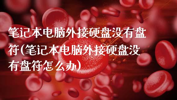 笔记本电脑外接硬盘没有盘符(笔记本电脑外接硬盘没有盘符怎么办)_https://www.zztgc.com_黄金期货_第1张