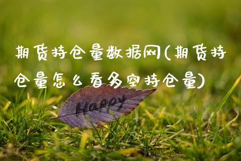 期货持仓量数据网(期货持仓量怎么看多空持仓量)_https://www.zztgc.com_原油期货_第1张
