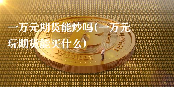 一万元期货能炒吗(一万元玩期货能买什么)_https://www.zztgc.com_期货入门_第1张