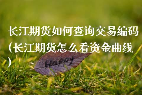 长江期货如何查询交易编码(长江期货怎么看资金曲线)_期货入门_第1张_珍投期货网 长江期货如何查询交易编码(长江期货怎么看资金曲线)_https://www.zztgc.com_期货入门_第1张