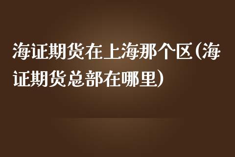 海证期货在上海那个区(海证期货总部在哪里)_https://www.zztgc.com_期货行情_第1张