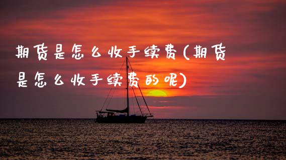 期货是怎么收手续费(期货是怎么收手续费的呢)_https://www.zztgc.com_原油期货_第1张