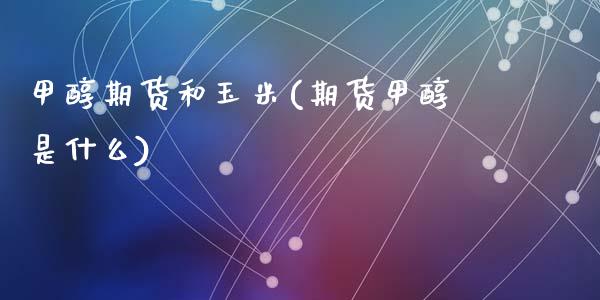 甲醇期货和玉米(期货甲醇是什么)_https://www.zztgc.com_期货行情_第1张