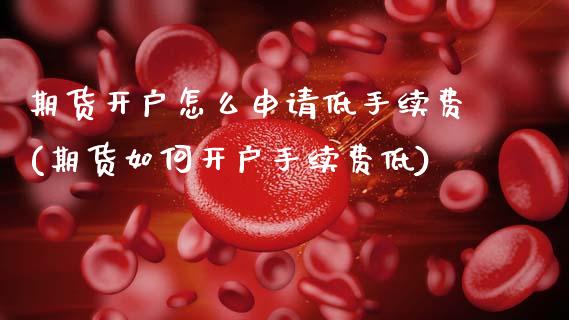 期货开户怎么申请低手续费(期货如何开户手续费低)_https://www.zztgc.com_黄金期货_第1张