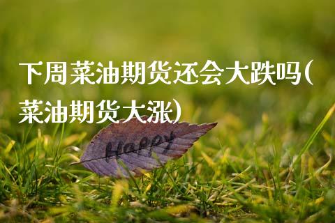 下周菜油期货还会大跌吗(菜油期货大涨)_https://www.zztgc.com_期货行情_第1张