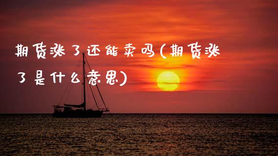 期货涨了还能卖吗(期货涨了是什么意思)_https://www.zztgc.com_期货入门_第1张