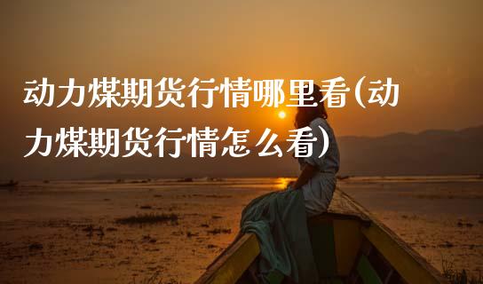 动力煤期货行情哪里看(动力煤期货行情怎么看)_https://www.zztgc.com_期货入门_第1张