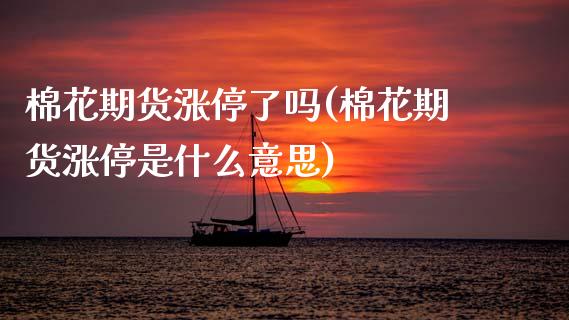 棉花期货涨停了吗(棉花期货涨停是什么意思)_https://www.zztgc.com_期货行情_第1张