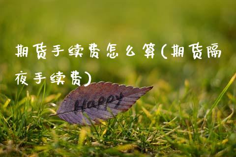 期货手续费怎么算(期货隔夜手续费)_https://www.zztgc.com_期货直播_第1张