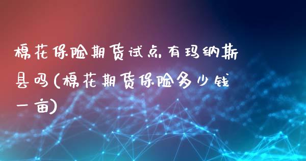 棉花保险期货试点有玛纳斯县吗(棉花期货保险多少钱一亩)_https://www.zztgc.com_期货入门_第1张