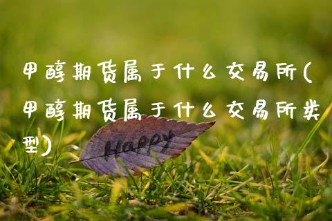 甲醇期货属于什么交易所(甲醇期货属于什么交易所类型)_期货入门_第1张_珍投期货网 甲醇期货属于什么交易所(甲醇期货属于什么交易所类型)_https://www.zztgc.com_期货入门_第1张