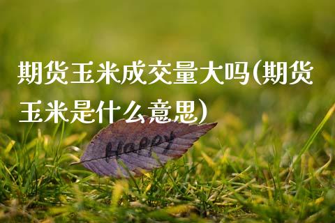 期货玉米成交量大吗(期货玉米是什么意思)_https://www.zztgc.com_期货直播_第1张