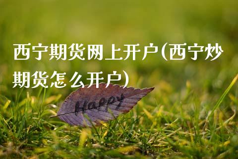 西宁期货网上开户(西宁炒期货怎么开户)_https://www.zztgc.com_原油期货_第1张