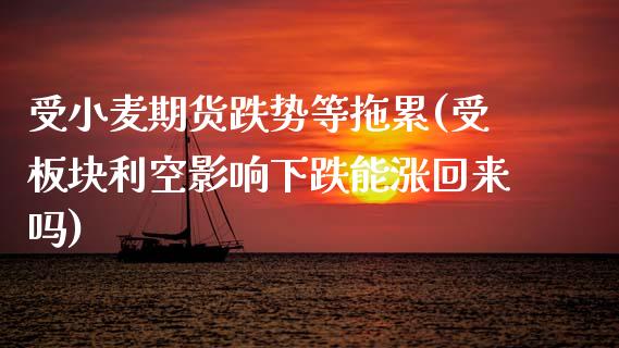 受小麦期货跌势等拖累(受板块利空影响下跌能涨回来吗)_https://www.zztgc.com_期货入门_第1张
