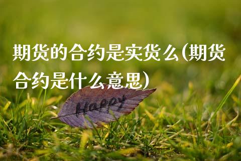 期货的合约是实货么(期货合约是什么意思)_https://www.zztgc.com_期货行情_第1张