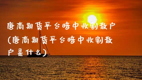 唐商期货平台暗中收割散户(唐商期货平台暗中收割散户是什么)_https://www.zztgc.com_期货开户_第1张