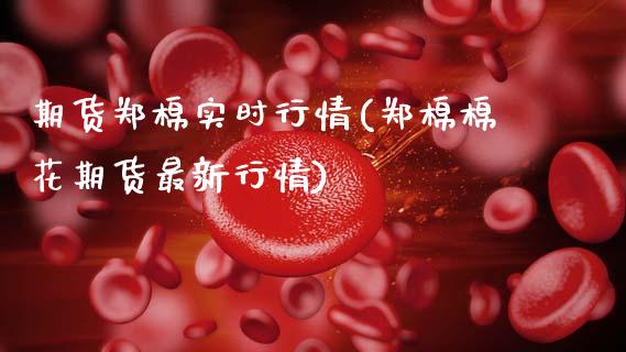 期货郑棉实时行情(郑棉棉花期货最新行情)_https://www.zztgc.com_黄金期货_第1张