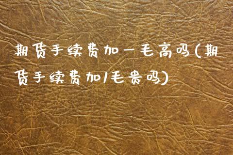 期货手续费加一毛高吗(期货手续费加1毛贵吗)_https://www.zztgc.com_期货行情_第1张