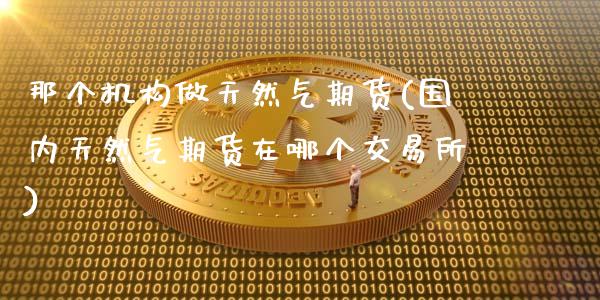 那个机构做天然气期货(国内天然气期货在哪个交易所)_https://www.zztgc.com_期货直播_第1张