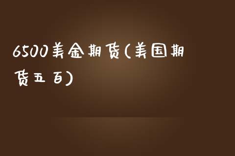 6500美金期货(美国期货五百)_https://www.zztgc.com_原油期货_第1张