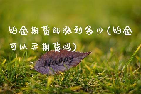 铂金期货能涨到多少(铂金可以买期货吗)_https://www.zztgc.com_原油期货_第1张